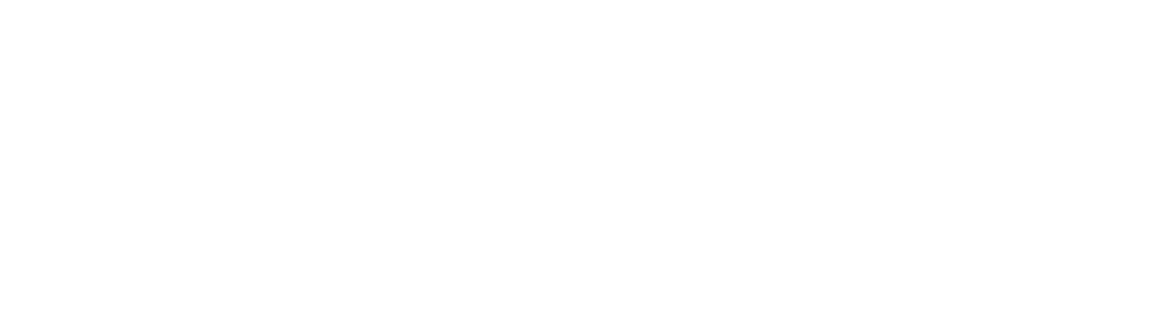 Tri3za Pizza